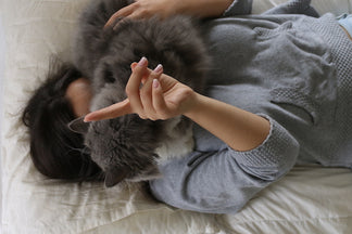 image for 10 Reasons Cats Are Better Than Dogs