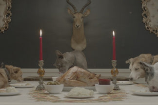 image for Thanksgiving Foods that May be Harmful for Your Pet