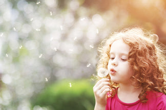 image for Healthy Ingredients for Your Pet: Dandelions