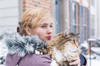 image for Getting to Know Your Maine Coon Cat