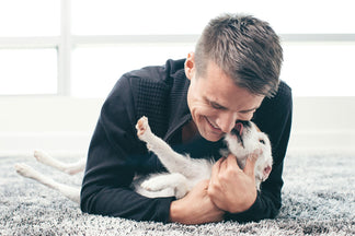 image for Why You Should Adopt Your Next Pet