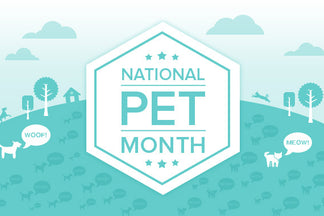 image for Health Benefits of Having a Pet