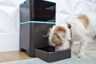 image for SmartFeeder Feeding Insights