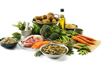 image for Dog Food Evaluation- A “Natural” Approach