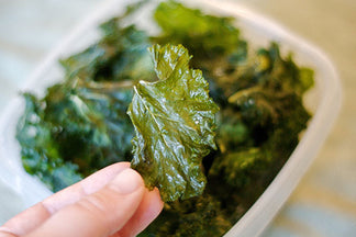 image for Kale: Good For You and Your Pup