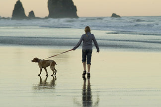 image for The Top 10 Reasons to Walk Your Dog