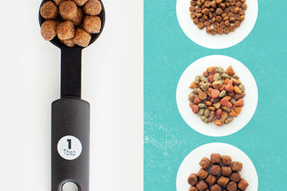 image for A Feeder for All Sizes: Wordless Wednesday