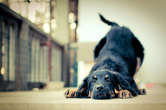 image for Workout and Beauty Tips by Abby