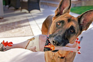 image for Read Beyond the Pet Food Name