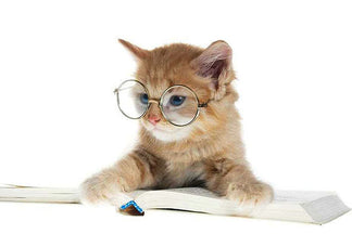 image for Worst Reasons to Choose a Pet Food: The Name