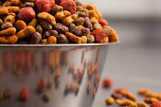 image for Stick to Bright Color in Art not Pet Food: Wordless Wednesday