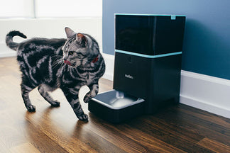 image for Automatic Feeders: Weight Loss Mechanism