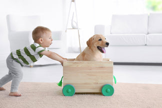 image for Tips for Choosing the Right Pet for Your Family