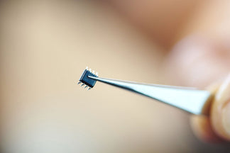 image for 5 Reasons to Microchip Your Pet