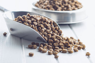 image for What to make of the FDA's Grain Free Announcement?