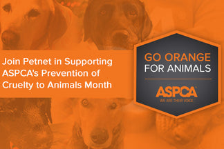 image for 4 Ways to Help a Pet Rescue or Shelter