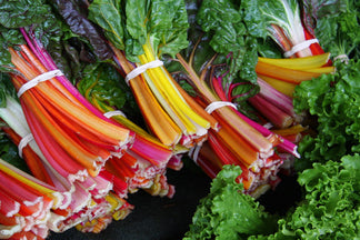 image for Biotin: Pet Food Ingredients A to Z