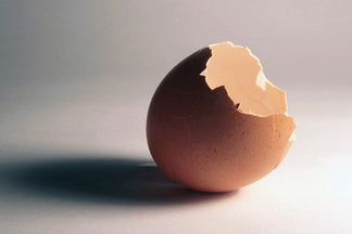 image for Calcium Carbonate: Pet Food Ingredients A to Z