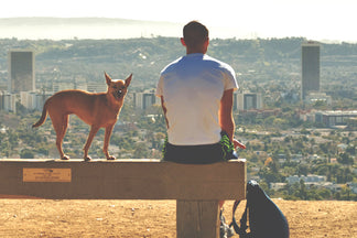 image for Get Yo’ Leash On: You Better Work It (Out)