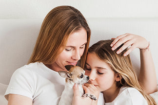 image for Happy Mother's Day and Chihuahua Appreciation Day!