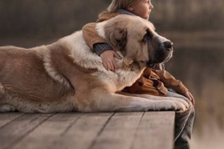 image for Kiddies, Kitties and Canines: Harmonious Housemates