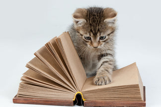 image for Cat Food Labels Explained: Part 2