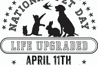 image for Celebrating National Pet Day: It’s Paw-ty Time!