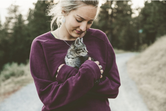 image for Holistic Ingredients That Can Improve Pet Health