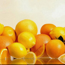 image for Ascorbic Acid: Pet Food Ingredients A to Z