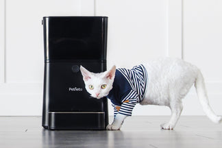 image for Getting started with the SmartFeeder