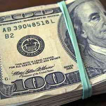 image for How Much Does it Cost to Have a Chubby Pet?