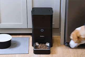 image for Petnet Testimonial: Nate and Marlyn