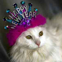 image for New Year’s Resolutions: What About Your Pet?