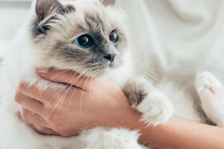 image I Need Help Connecting My Router To My Smartbowl.