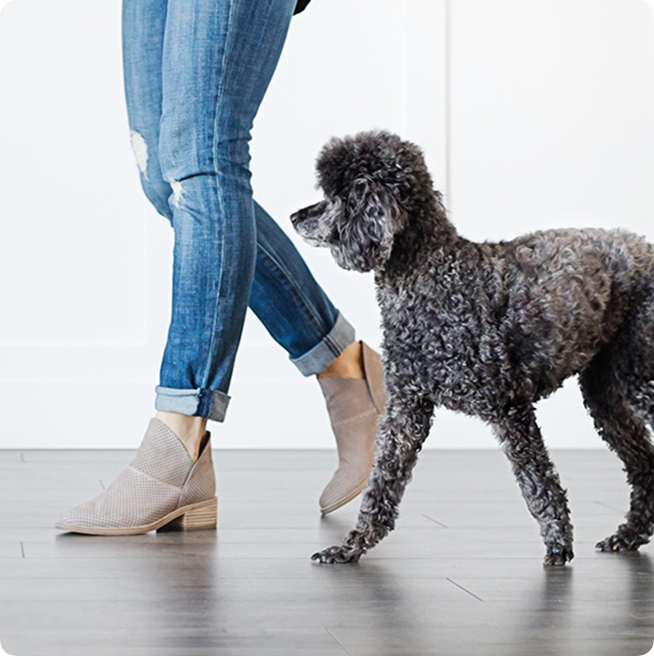 Feed on time with meal reminders.