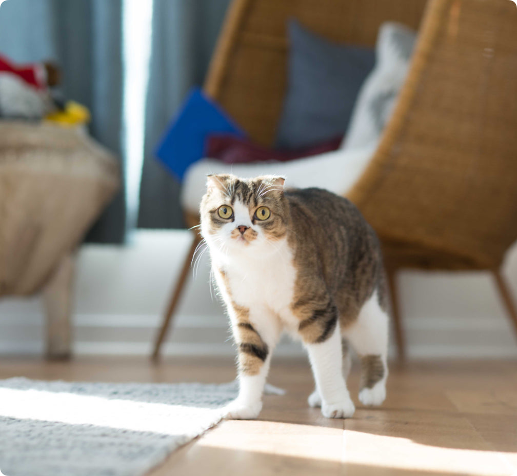 It’s only waste if you throw it away.