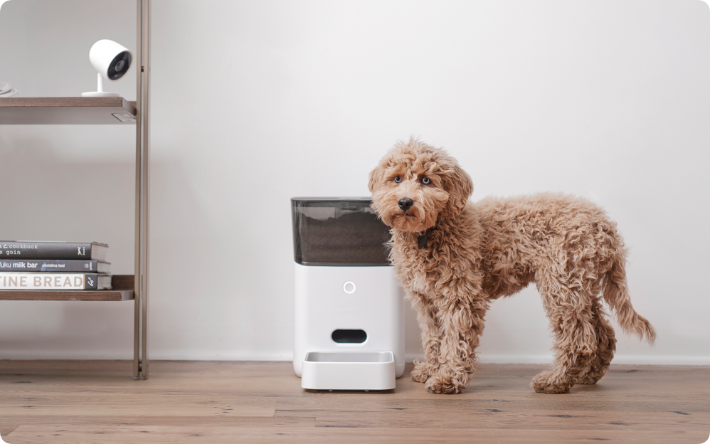 Automate your  pet’s daily meals.