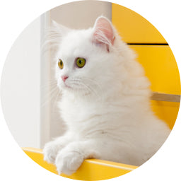 Breed-Specific Matching