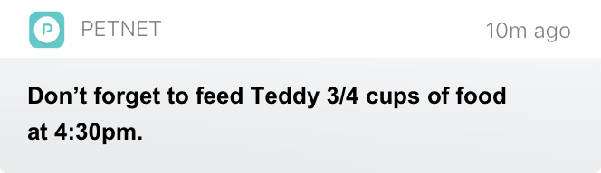 Feed on time with meal reminders.