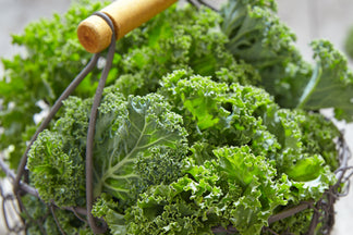 image for Healthy Ingredients for Your Pet: Kale