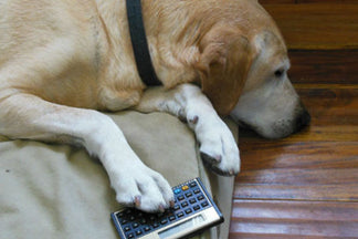 image for Avoid Math Fatigue with SmartFeeder: Wordless Wednesday