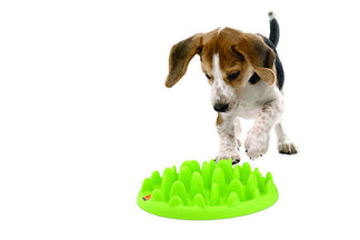 image for Benefits and Risks of Slow Feed Pet Bowls