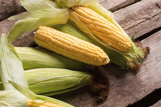 image for Not So Healthy Ingredients for Your Pet: Corn