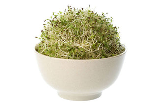 image for Alfalfa in Pet Food