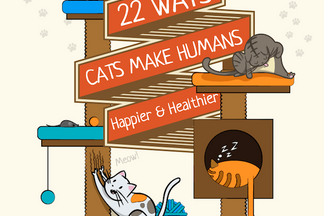 image for 22 Ways Cats Make Humans Happier & Healthier