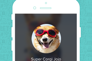 image for Pet of the Week: Super Corgi Jojo