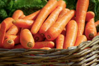 image for Superfoods for Pets: Carrots
