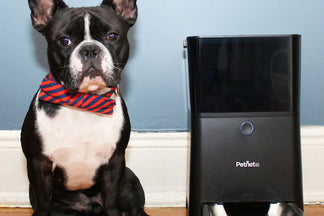 image for Pets 2.0: How Tech Has Infiltrated Our Lives (And Laps)