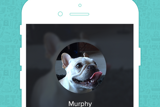 image for Pet of the Week: Murphy