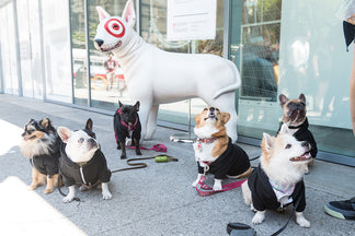 image for Petnet's Dog Day at Target Open House